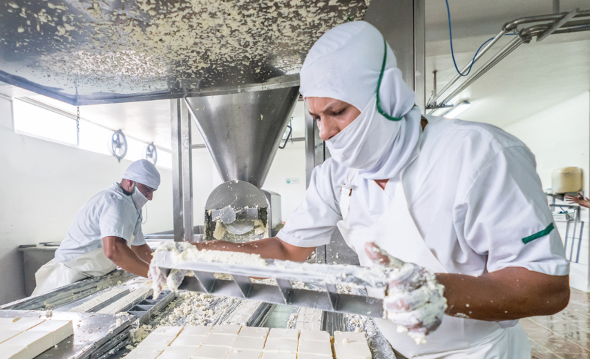Factory workers making cheese