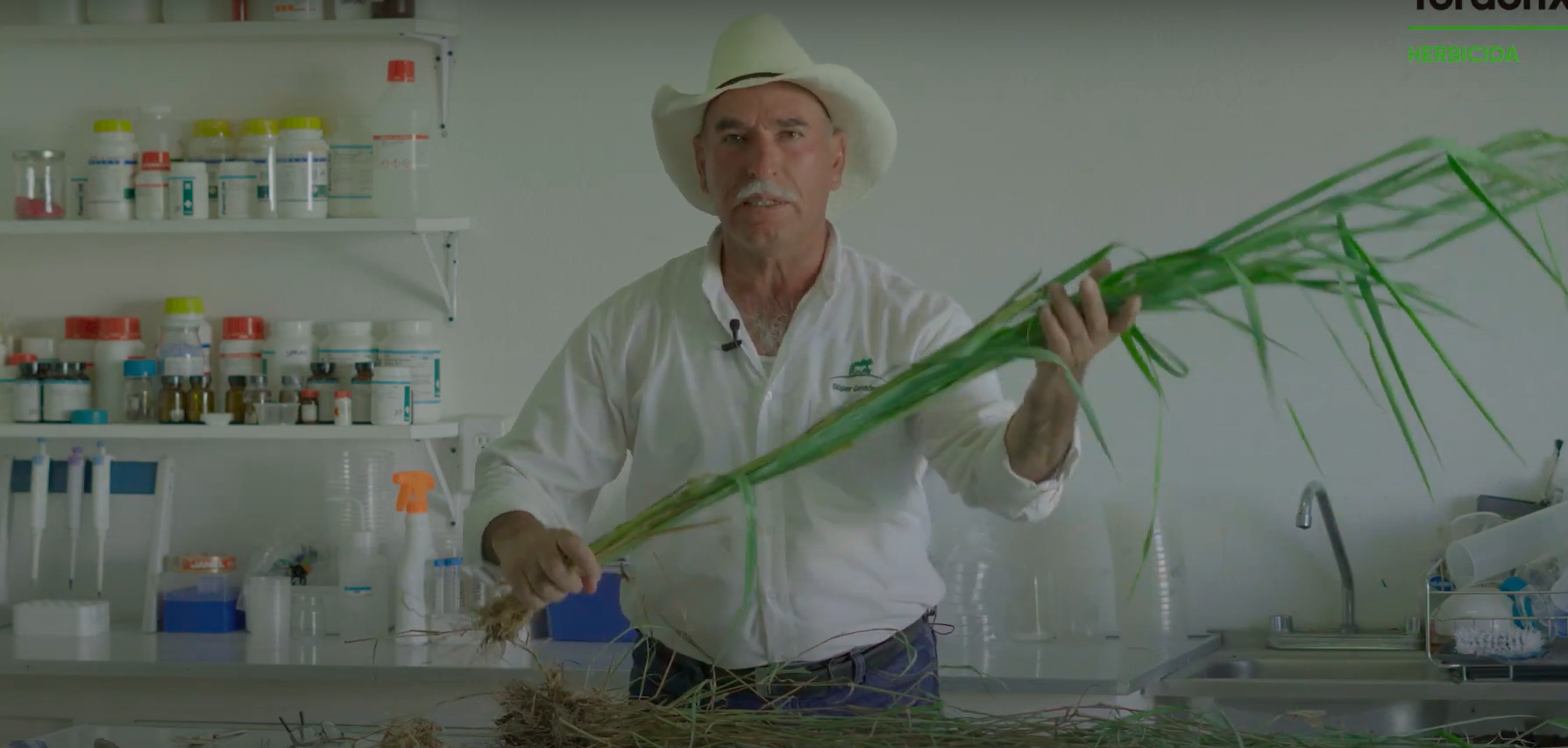 Episodio 11:  Anatomía, morfología